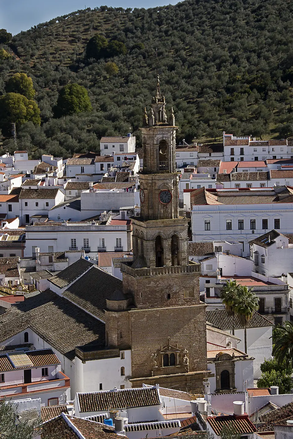 Constantina