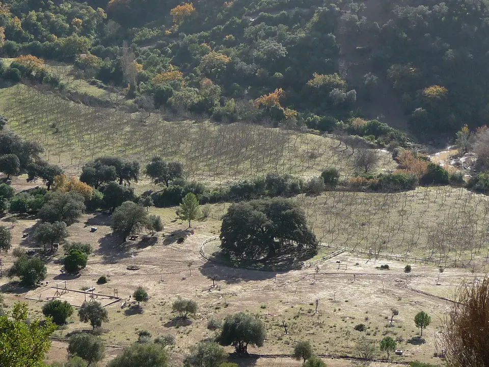 ChaparroDeLaVega-P1050928.JPG