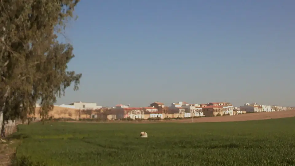 Vista de El Rubio